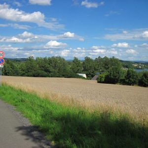 IMG_8220.jpg