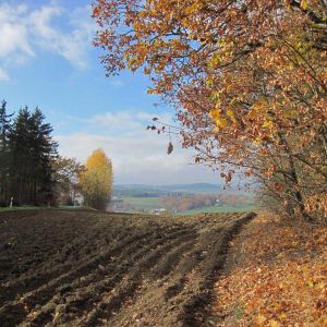IMG_A (42).jpg