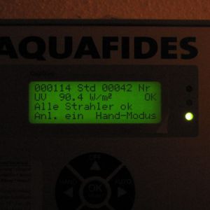 picture-0037.jpg