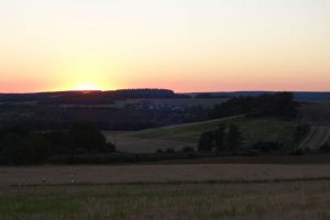 DSC09333.JPG