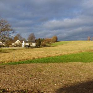 DSCF0705.jpg