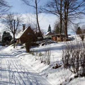 DSCF0838.jpg