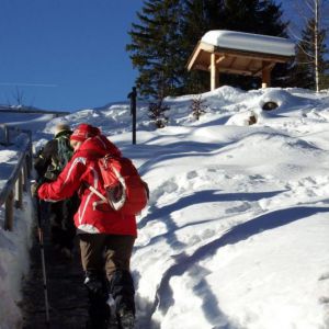 DSCF6919.jpg