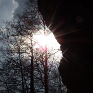DSCF7716.jpg