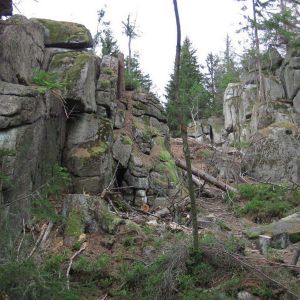 IMG_0663.jpg