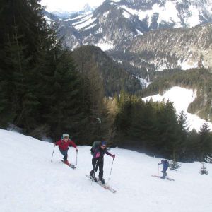 IMG_2950.jpg