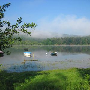 IMG_6344.jpg