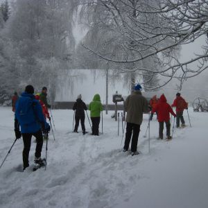 IMG_7428.jpg