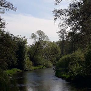 20190519_101844.jpg