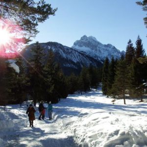 DSCF7025.jpg