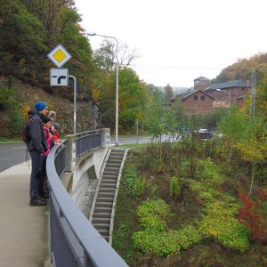 IMG_7222.jpg