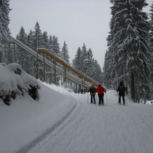 IMG_7410.jpg