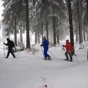IMG_8594.jpg