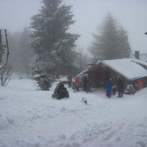IMG_8611.jpg