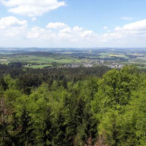 20190519_125141.jpg