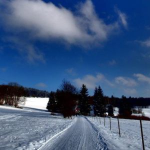 DSCF0806.jpg