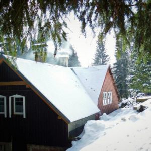 DSCF0836.jpg