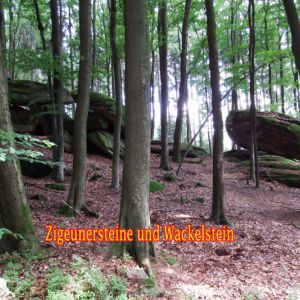DSCF4788 Kopie.jpg