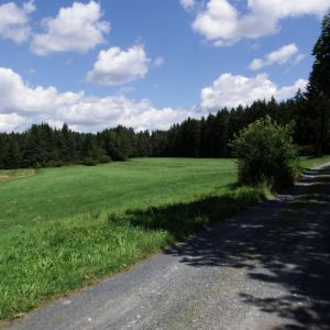 DSCF4800.jpg