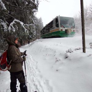 DSCF6194.jpg