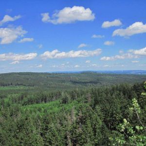IMG_0679.jpg