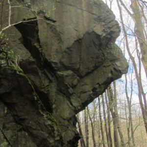IMG_4289.jpg