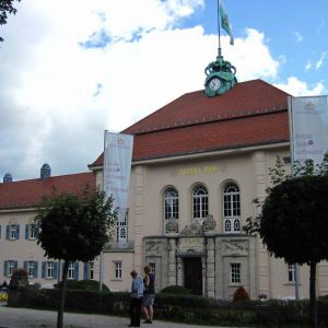 IMG_8235.jpg
