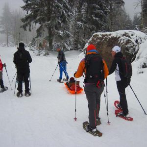 IMG_8588.jpg