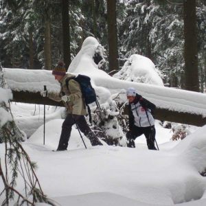 IMG_8602.jpg