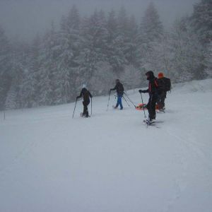 IMG_8631.jpg