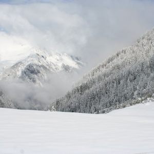 picture-0003.jpg