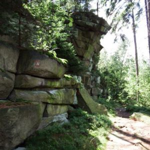 DSCF4780.jpg