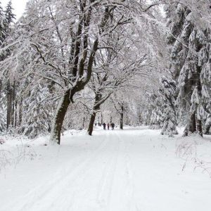 DSCF6190.jpg