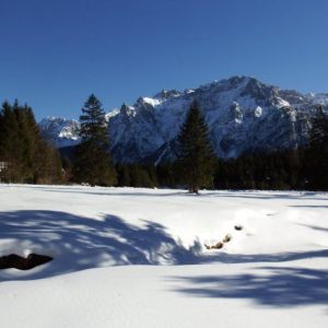 DSCF6989.jpg