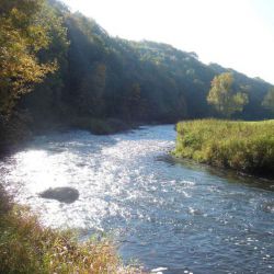 DSCN2362.jpg