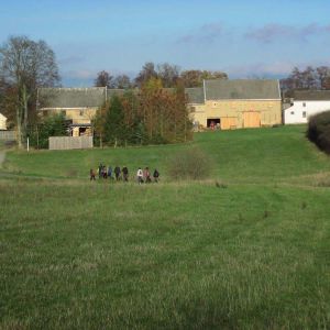 IMG_B (34).jpg