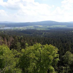 20190519_150121.jpg