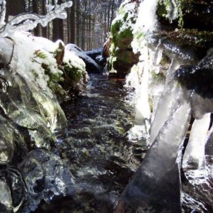 DSCF0816.jpg