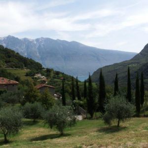 DSCF4050.jpg