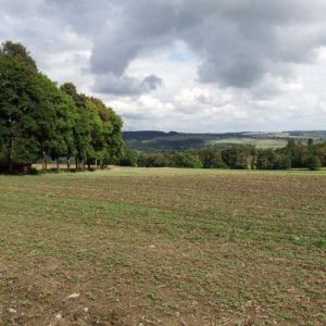 DSCF9410.jpg