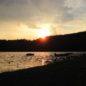 IMG_6342.jpg