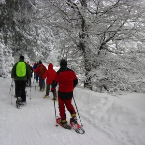 IMG_7399.jpg
