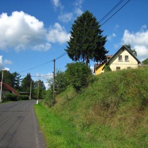 IMG_8238.jpg