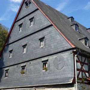P1160223.jpg