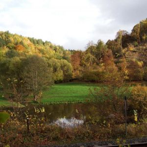 Steinicht 29.10 (4).jpg