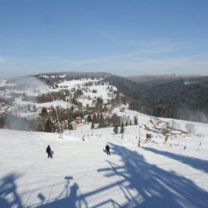 DSCF0856.jpg