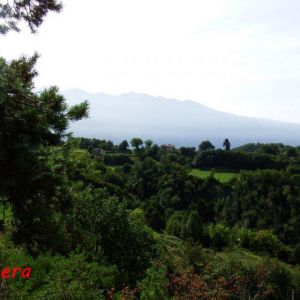 DSCF3990.jpg