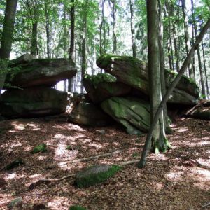 DSCF4790.jpg