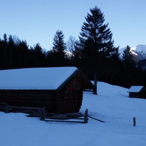 DSCF6913.jpg