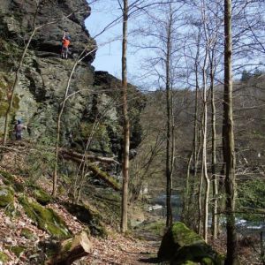 DSCF7646.jpg